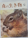 森の生き物　6