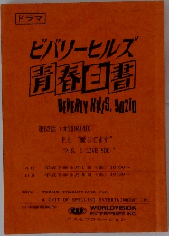 ビバリーヒルズ  青春白書