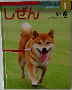 しぜん　1月号