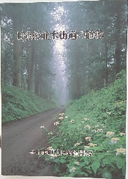日光杉並木街道の植物
