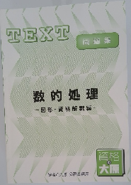 TEXT 数的処理 図形・資料解釈編