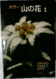 カラー山の花 1 
