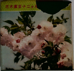 花木園芸十二ヵ月