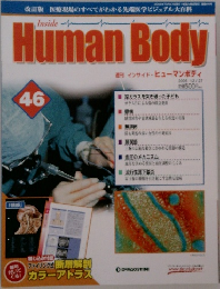 Human Body 46