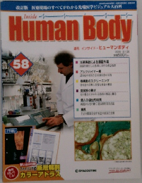 Human Body　2006年3/28号　58号