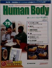 Human　Body　75