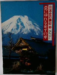 日本史の舞台　9　甍にゆれる泰平の華