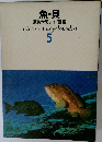 魚・貝　原色学習ワイド図鑑　Picture Encyclopedia  5　