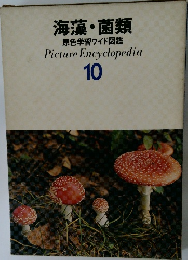 海藻・菌類  原色学習ワイド図鑑　10