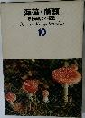 海藻・菌類  原色学習ワイド図鑑　10