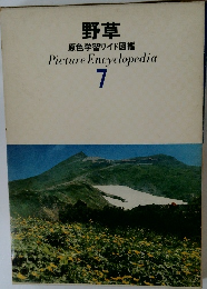 野草  原色学習ワイド図鑑  Picture Encyclopedia  7