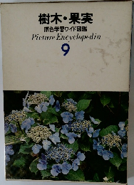 樹木 果実  原色学習ワイド図鑑　9