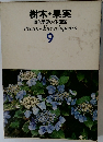 樹木 果実  原色学習ワイド図鑑　9
