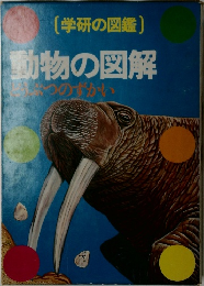 動物の図解  まつのずかい