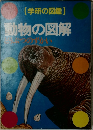 動物の図解  まつのずかい