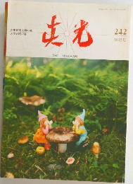 真光　　242