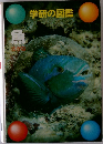 学研の図鑑　魚