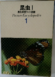 昆虫Ⅰ  原色学習ワイド図鑑 1