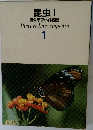 昆虫Ⅰ  原色学習ワイド図鑑 1