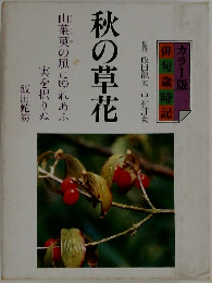 秋の草花 俳句歳時記