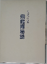悲運の翼　飛龍隊秘話