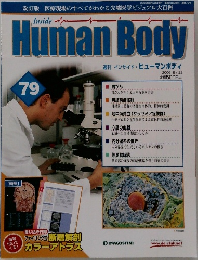 Human Body 79
