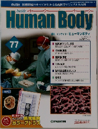 HumanBody 77
