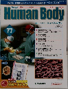 HumanBody 77