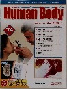 Human Body  74