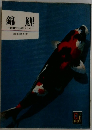 錦鯉