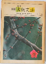 対訳古典文法