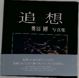 追想