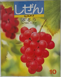 しぜん 10 ぶどう