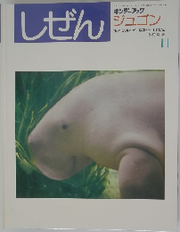 しぜん 11　キンダーブック  ジュゴン