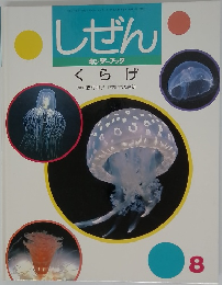 しぜん  キンダーブック  くらげ 8