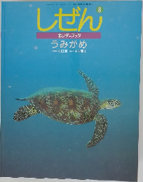 しぜん  キンダーブック  うみがめ 8