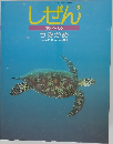 しぜん  キンダーブック  うみがめ 8