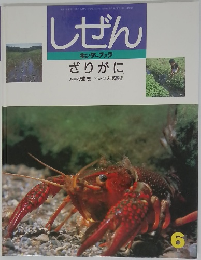 しぜん  キンダーブック  ざりがに 6