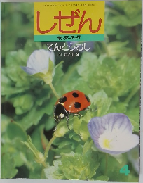 しぜん　4　てんとうむし
