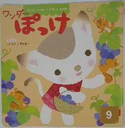 ワンダー　ぽっけ　9