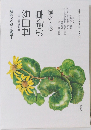 世田谷の野草　秋・冬編