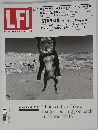 LFI　2016年2月号