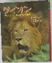 ライオン  強いものが生きのこる世界