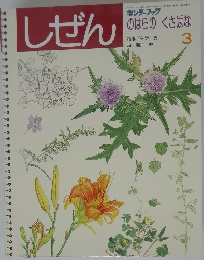 しぜん 3　のはらのくさばな