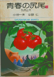 別冊 BIG GORO 特集 青春の尻尾シリーズ 5