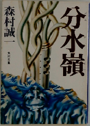 分水嶺