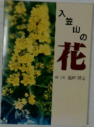 入笠山の花