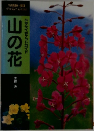 山の花  ヤマケイポケットガイド