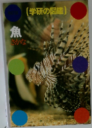 (学研の図鑑)　魚