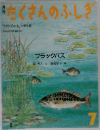 たくさんのふしきぎ　ブラックバス 7